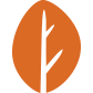 October CMS