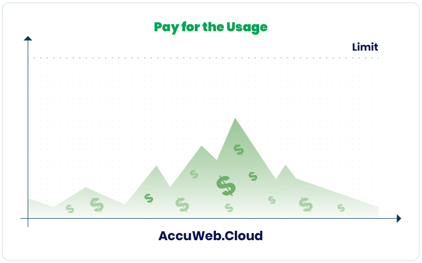 Pay for the Usage