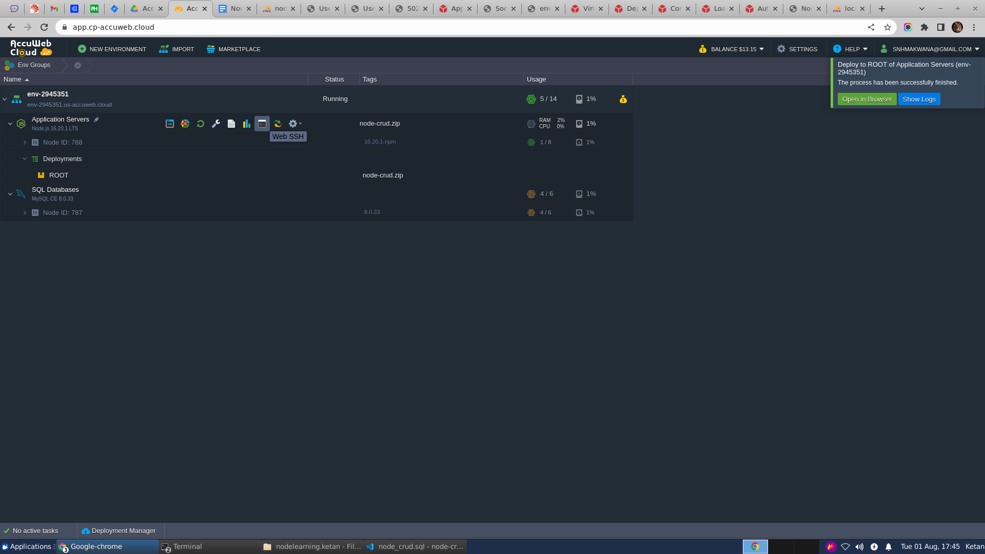 Node.js Application